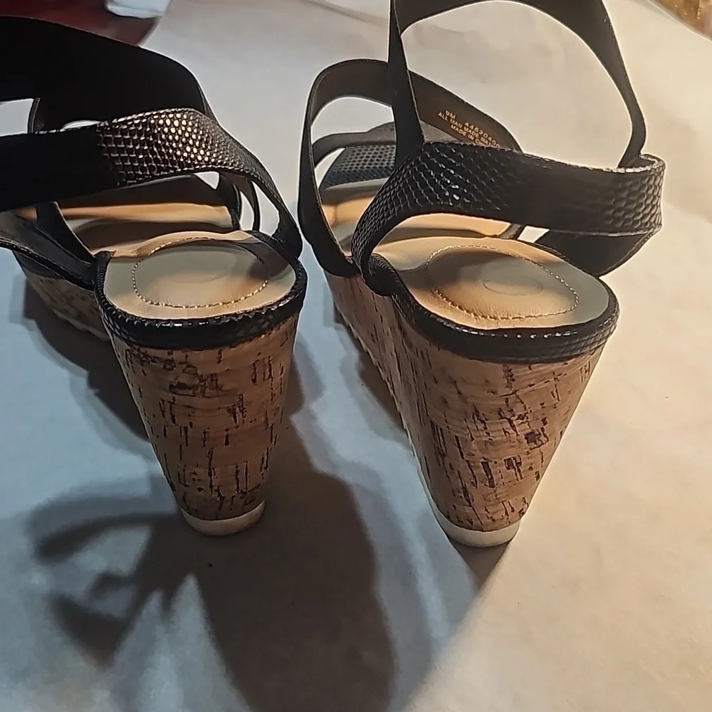 C Est. 1946 size black